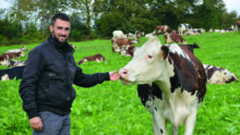 Un éleveur avec une vache