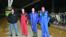 Quatre éleveurs dans un hangar