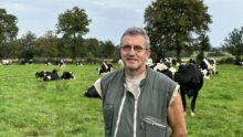 agriculteur avec ses vaches dans prairie