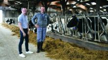 Fabrice Jolys et Antoine Yven dans la stabulation des vaches