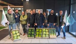 Les manifestants lors de l'action au comité Safer