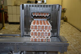 Machine de conditionnement d'oeufs