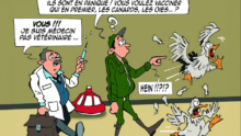 Dessin humoristique sur les vaccins antigrippaux pour les humains en contact avec les porcs et les volailles