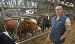 Pascal Le Breton avec ses vaches