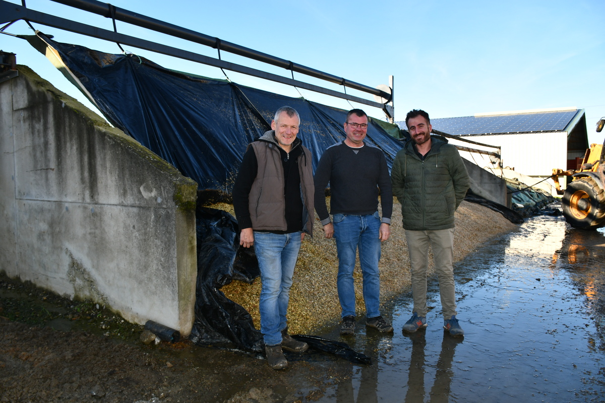 Les trois hommes devant le silo de maïs - Illustration Fini la corvée de silo avec l’enrouleur automatique
