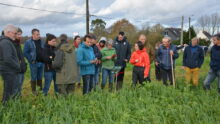 Groupe d'agriculteurs dans un champ