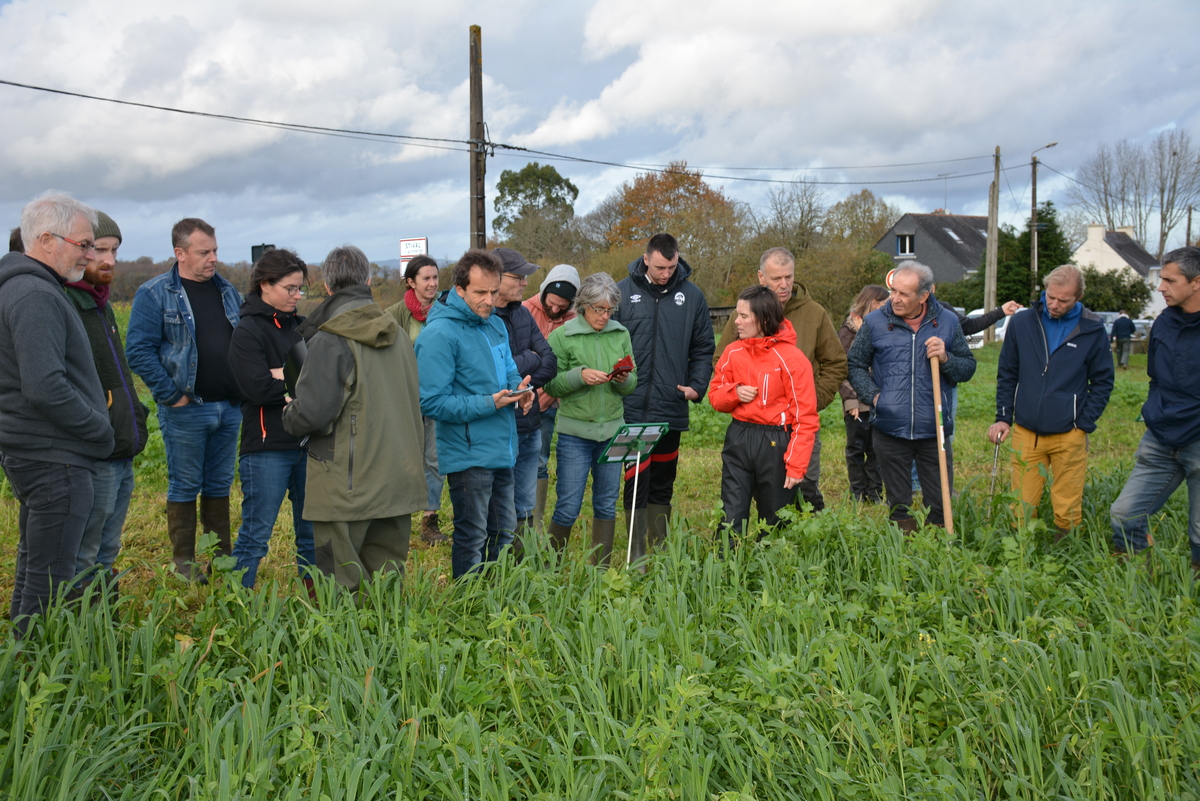 Groupe d'agriculteurs dans un champ - Illustration Maintenir un couvert sur une longue durée