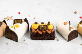 bûches glacées