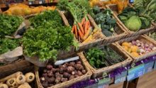 Un rayon de légumes bio dans un magasin spécialisé