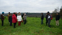 Les visiteurs sur une parcelle d'arboriculture