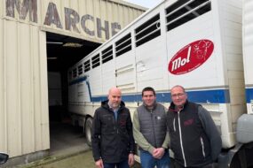 Trois hommes devant un camion de transport d'animaux