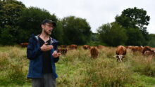Un éleveur dans une des prairies en zone humide devant ses bovins.