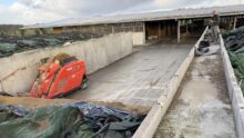 Un robot d'alimentation prélève de l'ensilage d'herbe dans un silo devant une étable.