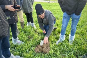 agriculteur dans parcelle de méteil