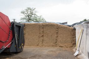 Le front d'attaque d'un silo d'ensilage de maïs