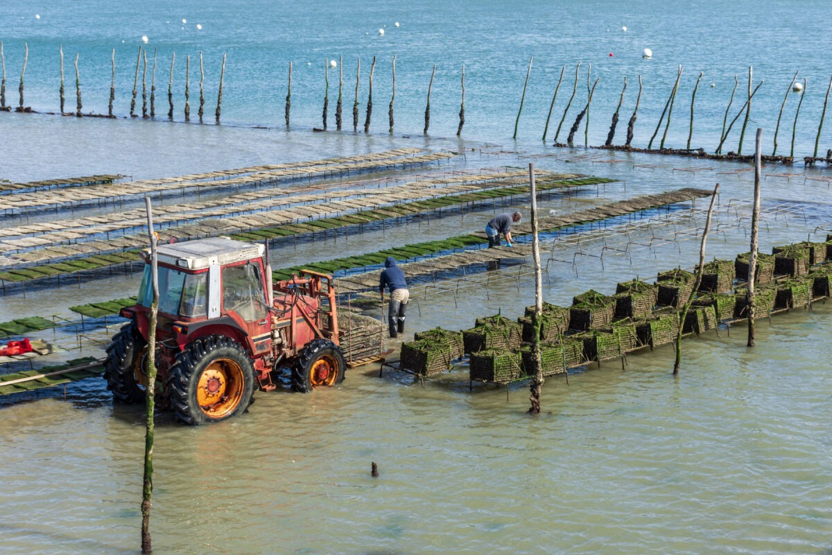 orcom ostreiculture v2