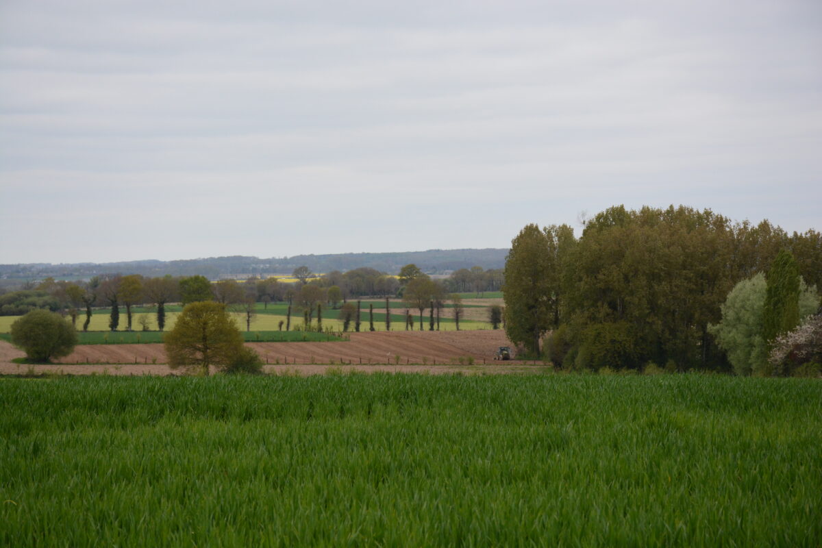 Paysage de campagne - Illustration Des aides du 1er pilier pour financer les MAEC et le 2e pilier ?