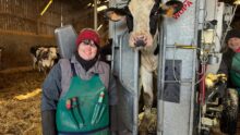 Une jeune femme en formation de pédicure pur bovins à côté d'une vache Prim'Holstein dans une cage de parage