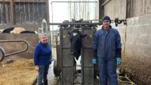 Une éleveuse et un pédicure pour bovins autour d'une cage de parage contenant une vache Prim'Holstein