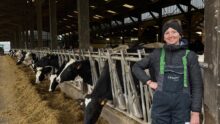 Une jeune éleveuse davant ses vaches à l'auge