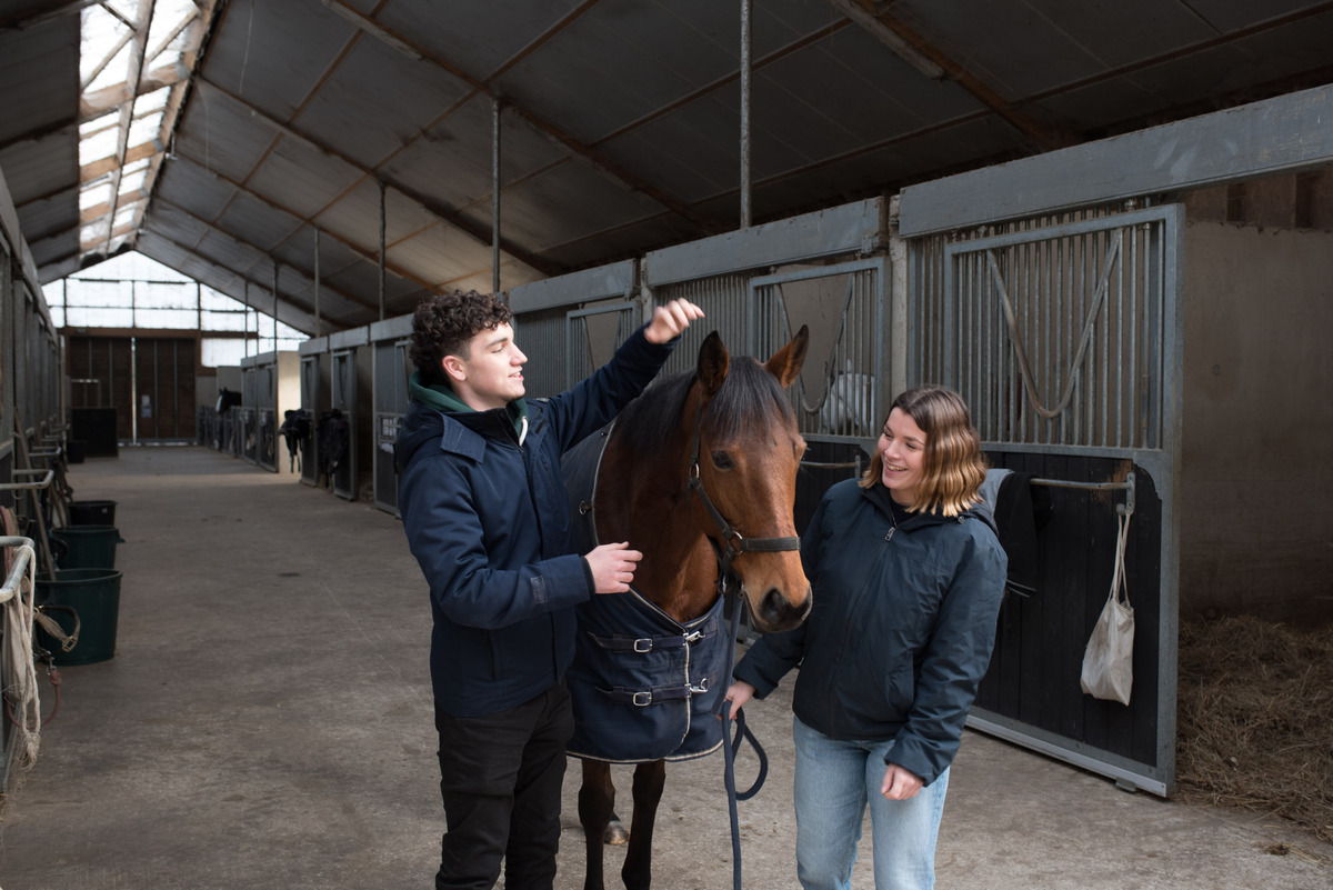 Un étudiant et une étudiante avec un cheval.  - Illustration Nouvelle licence pro à Kernilien