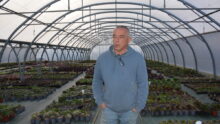 Le producteur de plants Hubert Debbasch dans une de ses serres d’aeonium.