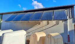 Au dessus de niches à veau, des panneaux solaires thermiques installés sur le bâtiment d'un élevage laitier