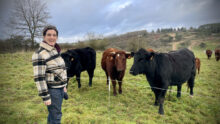 Amandine Gat devant ses vaches