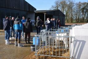 Un groupe de personnes lors d'une porte ouverte dans une exploitation agricole