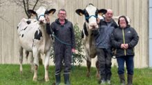 Trois éleveurs, deux hommes et une femme, présentent deux vaches de race Prim'Holstein