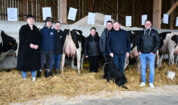 Les éleveurs devant des vaches en exposition sur la ferme