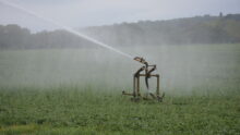 Irrigation d'un champ par aspersion