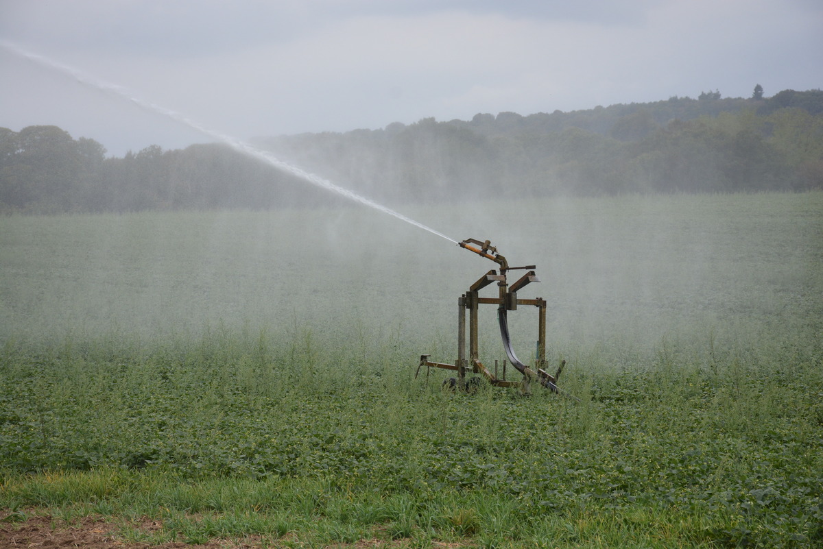 Irrigation d'un champ par aspersion - Illustration Les axes de travail pour 2025