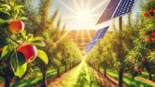 image générée par IA de panneaux solaires dans un verger