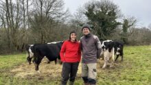 Aurélie Cheveau et Madeg Join-Lambert parmi leurs vaches à Querrien Finistère