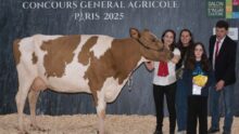 Une vache Pie Rouge, deux femmes, une enfant et un homme sur le podium d'un concours à Paris