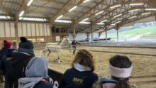 Des personnes dans les gradins d'un manège équestre et une jeune fille et un cheval en présentation au milieu