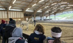 Des personnes dans les gradins d'un manège équestre et une jeune fille et un cheval en présentation au milieu