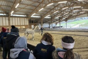 Des personnes dans les gradins d'un manège équestre et une jeune fille et un cheval en présentation au milieu
