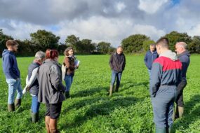 agriculteurs en formation dans une parcelle
