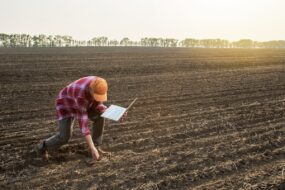 un homme baissé dans un champ labouré avec un ordinateur à la main