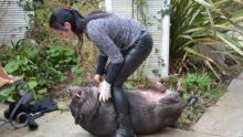 Une femme et un cochon
