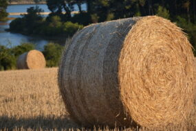 un round de paille dans un champ