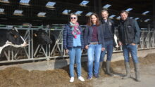 Marie-Claire et Jean-Jacques Picart, Pascale et Franck Chombart devant des vaches