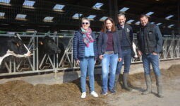 Marie-Claire et Jean-Jacques Picart, Pascale et Franck Chombart devant des vaches