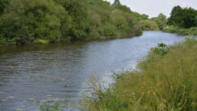 La rivière Vilaine avec de la végétation sur les abords