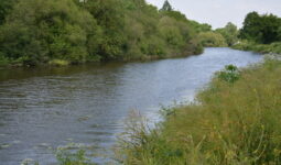 La rivière Vilaine avec de la végétation sur les abords