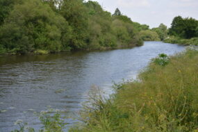La rivière Vilaine avec de la végétation sur les abords