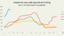 Courbe des prix des VEAUx en France