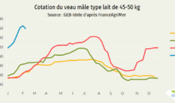 Courbe des prix des VEAUx en France